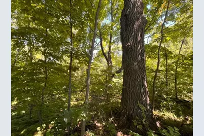 Lot 3 60th Avenue, Woodville, WI 54028 - Photo 2