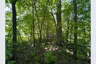 Lot 3 60th Avenue, Woodville, WI 54028 - Photo 10