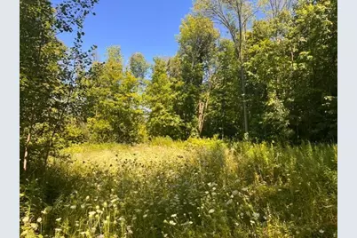 Lot 3 60th Avenue, Woodville, WI 54028 - Photo 1