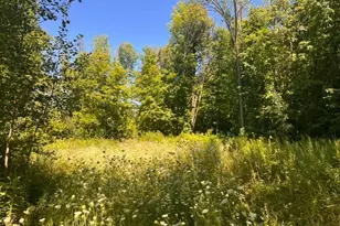 Lot 3 60th Ave, Woodville, WI 54028 - Photo 1