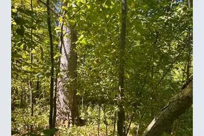 Lot 3 60th Avenue, Woodville, WI 54028 - Photo 6