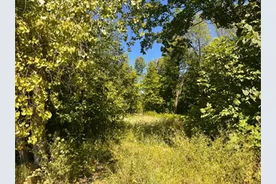 Lot 3 60th Avenue, Woodville, WI 54028 - Photo 12