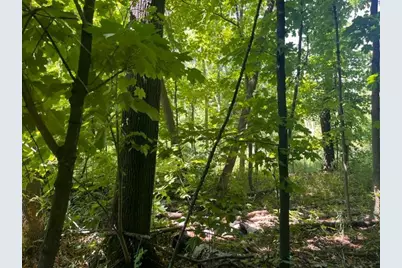 Lot 3 60th Avenue, Woodville, WI 54028 - Photo 4
