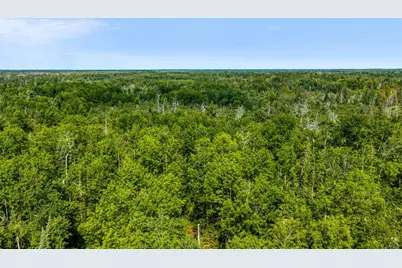 Tbd Irvine Avenue, Bemidji, MN 56601 - Photo 4