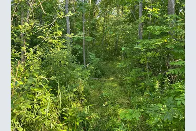 000 Beroun Crossing Rd, Brook Park, MN 55007 - Photo 6