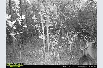 000 Beroun Crossing Rd, Brook Park, MN 55007 - Photo 24