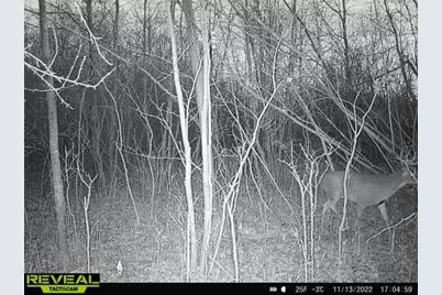 000 Beroun Crossing Rd, Brook Park, MN 55007 - Photo 26