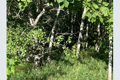 000 Beroun Crossing Rd, Brook Park, MN 55007 - Photo 12
