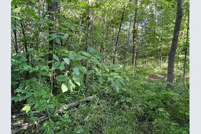 000 Beroun Crossing Rd, Brook Park, MN 55007 - Photo 10