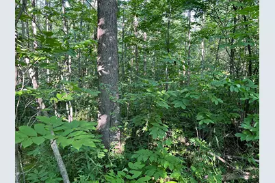 000 Beroun Crossing Rd, Brook Park, MN 55007 - Photo 4