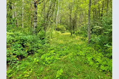 Tbd Woodbury Drive, Wright, MN 55798 - Photo 18