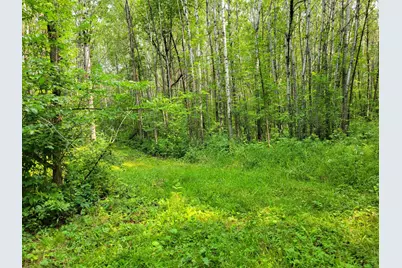Tbd Woodbury Drive, Wright, MN 55798 - Photo 14