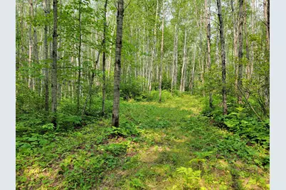 Tbd Woodbury Drive, Wright, MN 55798 - Photo 6
