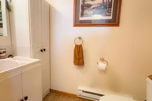 1907 S Lake Irving Dr SW, Bemidji, MN 56601 - Photo 30