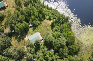 44616 McGrady Trl, Nashwauk, MN 55769 - Photo 10