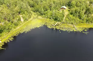 44616 McGrady Trl, Nashwauk, MN 55769 - Photo 2