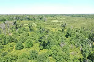 14662 Oeltjen Rd, Grantsburg, WI 54840 - Photo 10