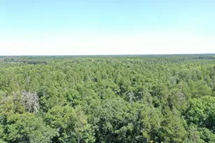 14662 Oeltjen Rd, Grantsburg, WI 54840 - Photo 6