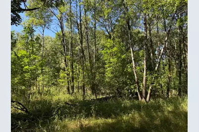 Tbd 221st Avenue, Verndale, MN 56481 - Photo 22