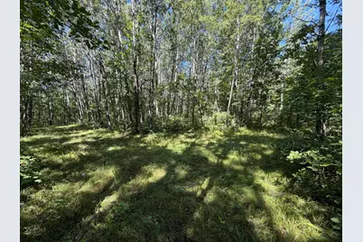 Tbd 221st Avenue, Verndale, MN 56481 - Photo 16