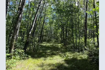 Tbd 221st Avenue, Verndale, MN 56481 - Photo 40