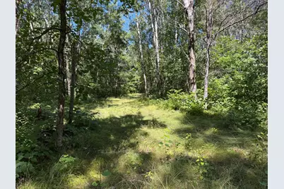 Tbd 221st Avenue, Verndale, MN 56481 - Photo 18