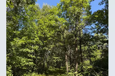 Tbd 221st Avenue, Verndale, MN 56481 - Photo 20