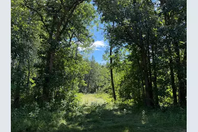 Tbd 221st Avenue, Verndale, MN 56481 - Photo 36