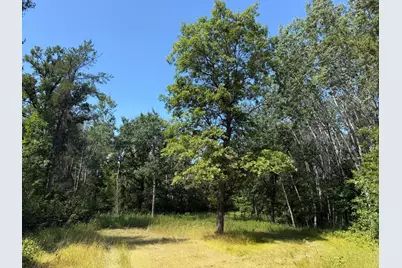 Tbd 221st Avenue, Verndale, MN 56481 - Photo 32