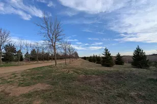 2051 120th St, Balaton, MN 56115 - Photo 48