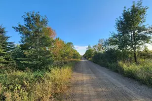 2051 120th St, Balaton, MN 56115 - Photo 22