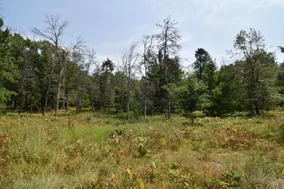Lot 1 Pleasant Acres Trail, Danbury, WI 54830 - Photo 12