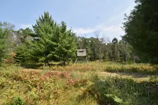 Lot 1 Pleasant Acres Trail, Danbury, WI 54830 - Photo 1