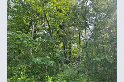 Tbd Central Street, Garrison, MN 56450 - Photo 2