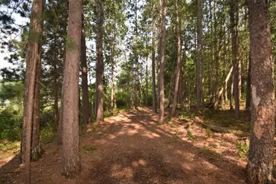 Lot 4 South Point Trail, Danbury, WI 54830 - Photo 10