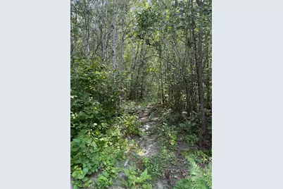 47414 323rd Avenue, Cass Lake, MN 56633 - Photo 28
