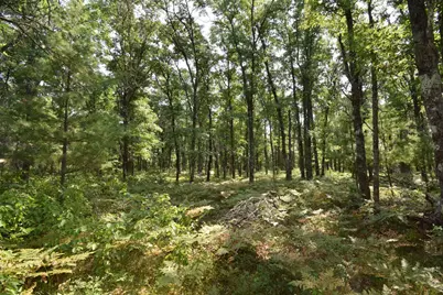 Lot 5 South Point Trail, Danbury, WI 54830 - Photo 10