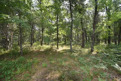 Lot 5 South Point Trail, Danbury, WI 54830 - Photo 6
