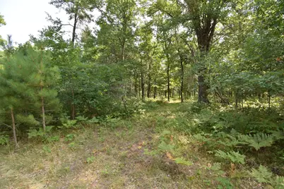Lot 5 South Point Trail, Danbury, WI 54830 - Photo 4