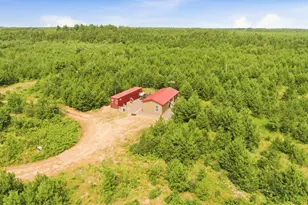 26162 Ashtons Trl, Webster, WI 54893 - Photo 24