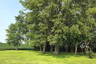 60247 State Hwy 19, Winthrop, MN 55396 - Photo 72