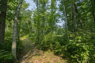 1089 8th St NE, Pine River, MN 56474 - Photo 76