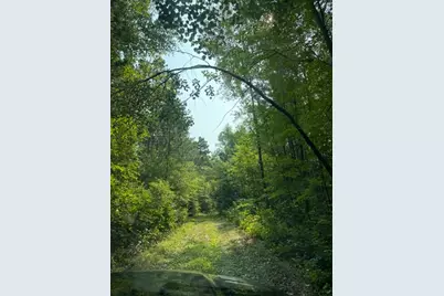 [Address not provided], Merrifield, MN 56465 - Photo 12