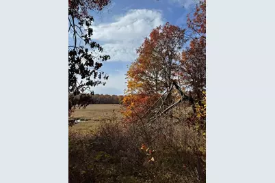 [Address not provided], Merrifield, MN 56465 - Photo 16