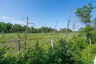 7084 Glory Rd, Baxter, MN 56425 - Photo 60