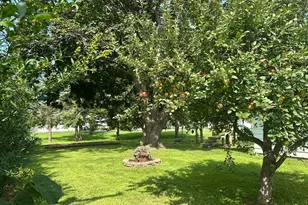 530 1st St, Fountain, MN 55935 - Photo 12