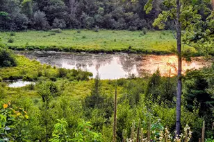 N1335 Pine Grove Rd, Sarona, WI 54870 - Photo 48