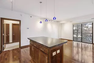 317 Groveland Ave, Minneapolis, MN 55403 - Photo 10