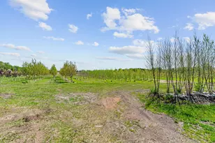 22901 Oakdale Dr, Corcoran, MN 55374 - Photo 30