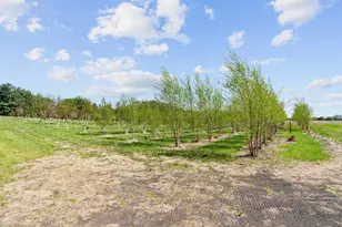 22901 Oakdale Dr, Corcoran, MN 55374 - Photo 32